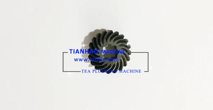 driven bevel gear.jpg