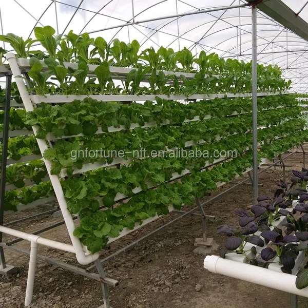 aquaponics growing commercial systems