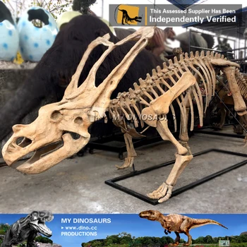 dinosaur skeleton replicas