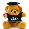 Lovely Bear with cute hat /kitchen hat/Doctorial hat