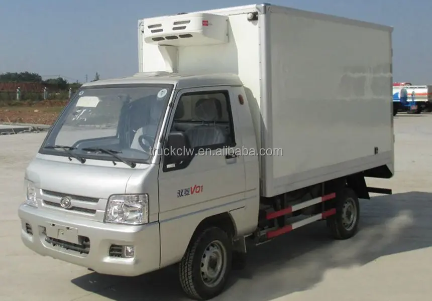 Foton Refrigerator Truck Mini Freezer Truck With Gasoline Engine Power