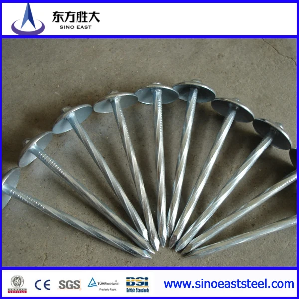 Zinc Coated Galvanized Concrete Nails! Reasonable In Price ...