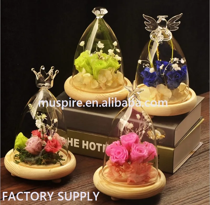 Glass Cake Dome with various shapes