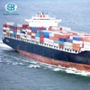 China Shipping Container Sea Freight Agent Door to Door Service to USA