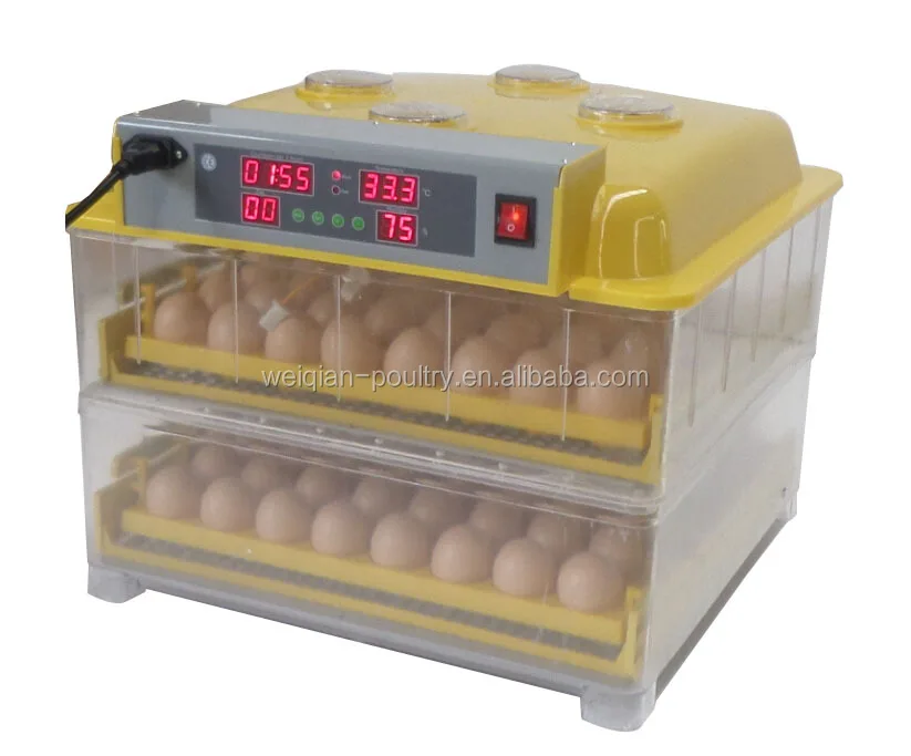 buying an incubator for eggs