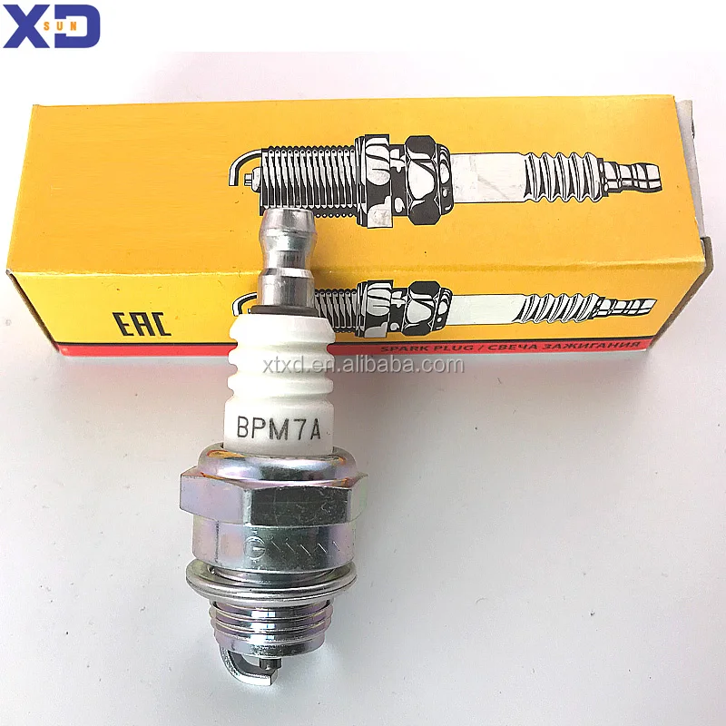 Spark Plug24