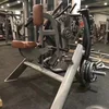 Cheap price gymnastics equipment Pure Strength Row