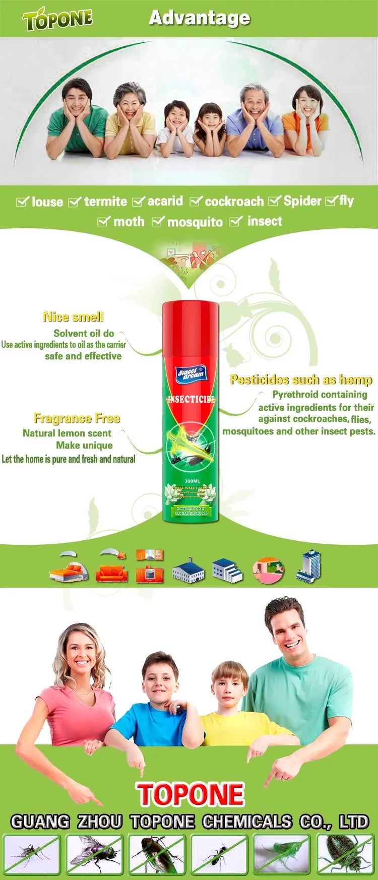 300ml Household and Office Pesticide Insecticide Spray in Pest Control