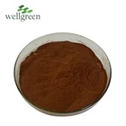 最高価格植物エキスブドウ種子エキス 95% Proanthocyanidine 化粧品抗酸化物質