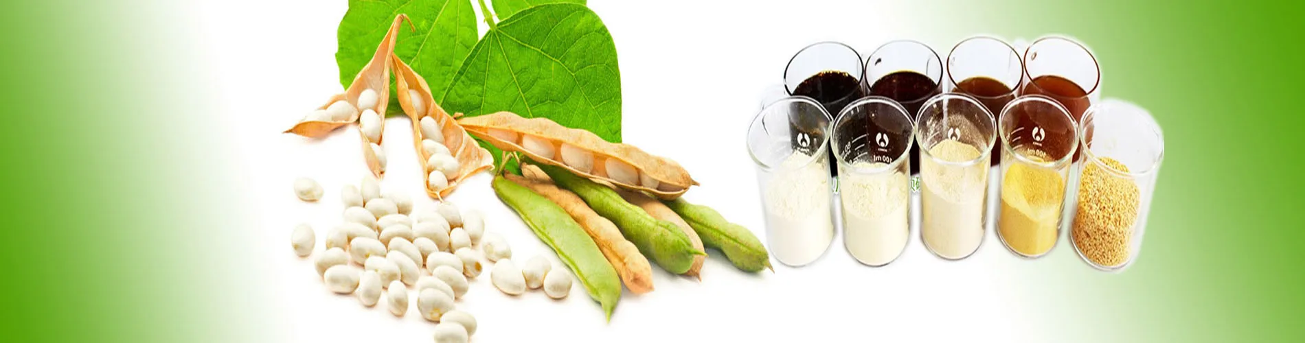 Soya Lecithin (3).jpg