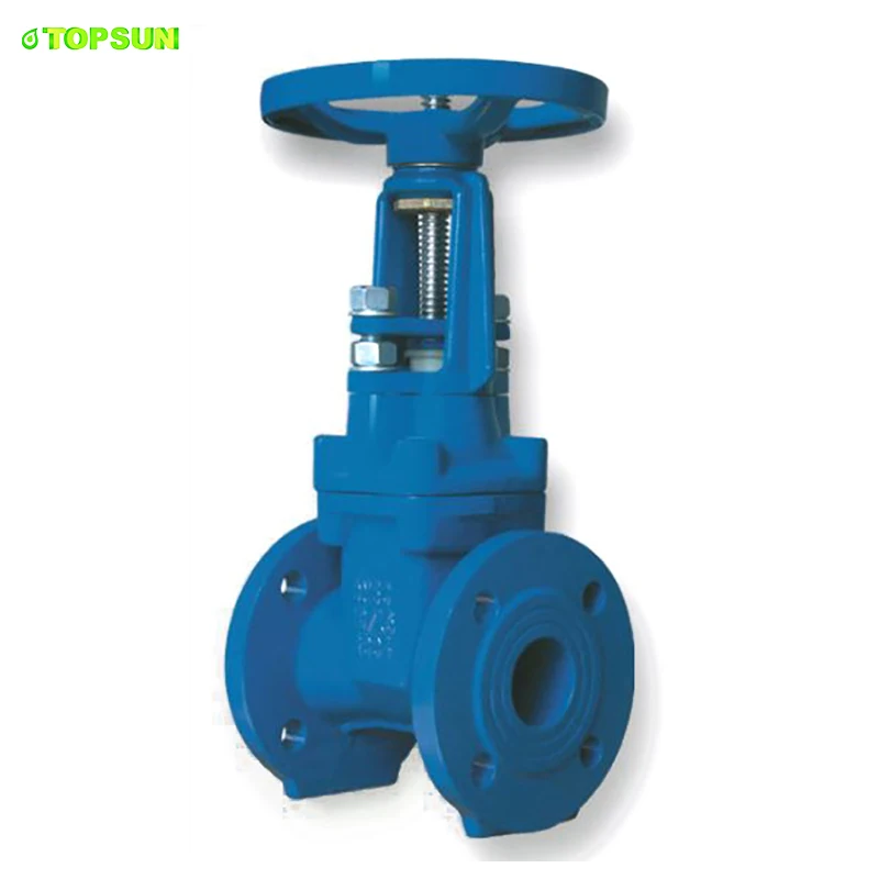 PN10 PN16 flanged ductile casting iron gate valve hydraulic valve with standard BS DIN