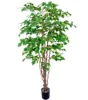 Sun Fung 60'' Birch Tree on Natural Trunk Twotone Green Tree for wholesale