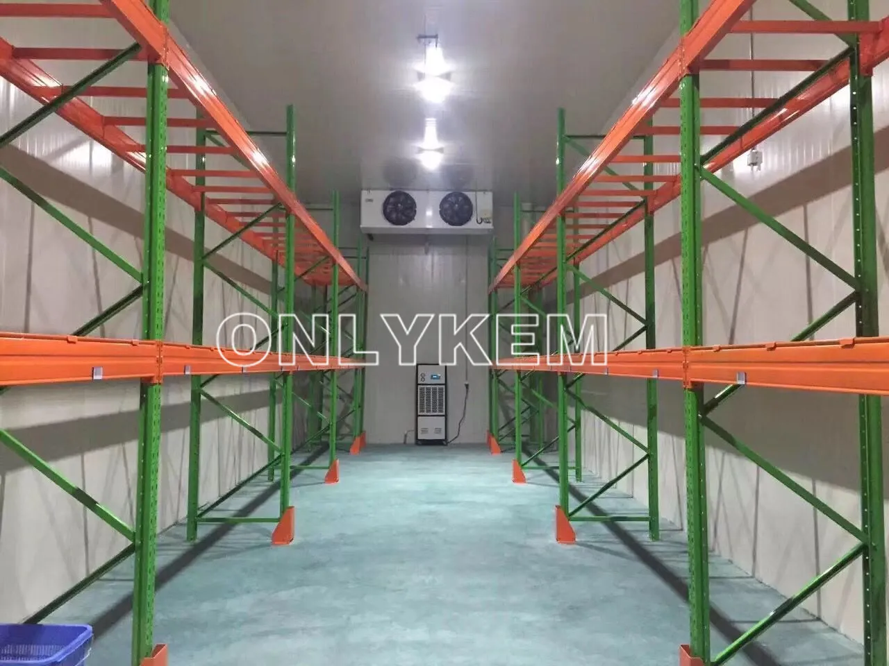 cold storage for onion