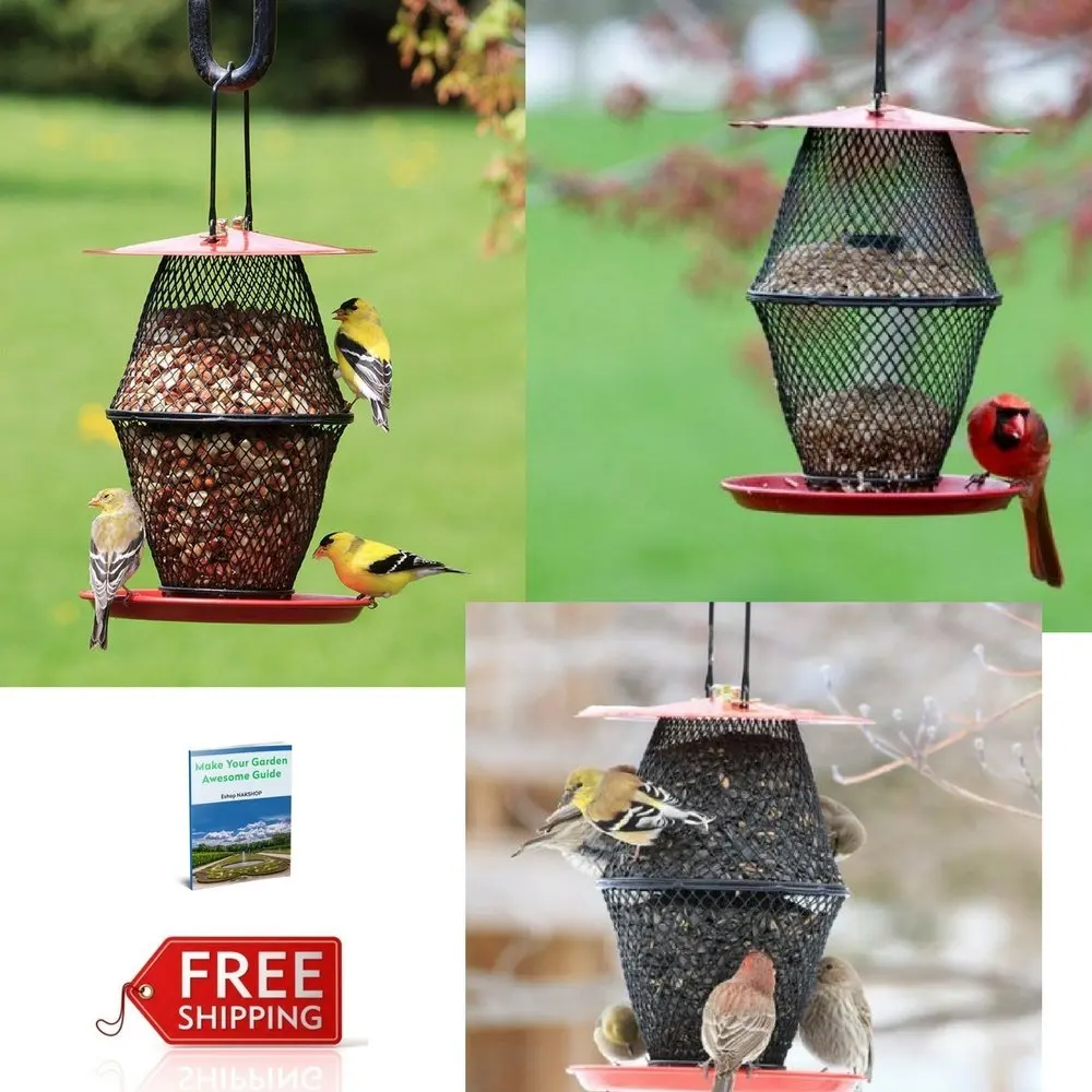 Buy Metal Wild Bird Feeders Peacock Standing Decorative Metal Bird