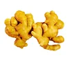 Fresh ginger root seeds /market price for ginger in China