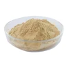 ISO9001 certified Astragalus Extract 98% Polysaccharides Powder in Bulk