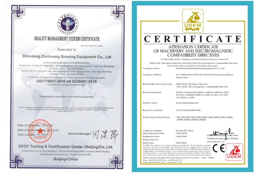 mini beer fermenters 50L 100L 200L small fermentation equipment system tanks for brewery