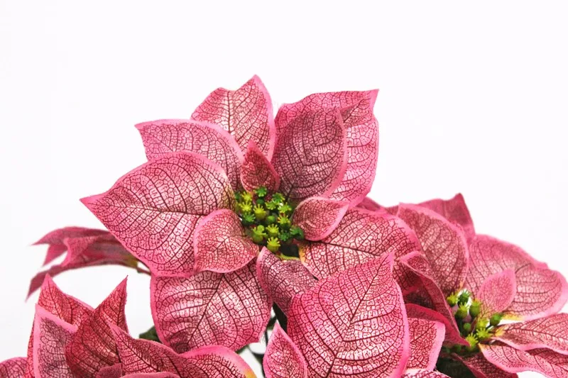 2020 Hot Style Ornaments Artificial Indoor Christmas Poinsettia Silk Flower Plants Factory
