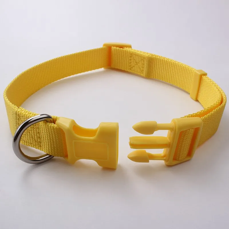 stylish dog collars