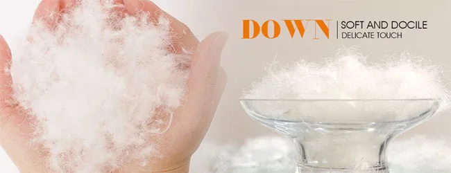 precio lavado plumon