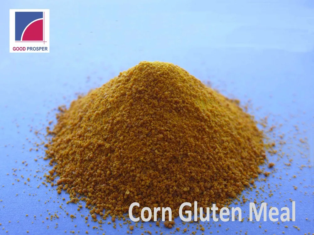 High Protein Grain Chicken Feed Corn Gluten Meal 60 Buy Gulten Meal