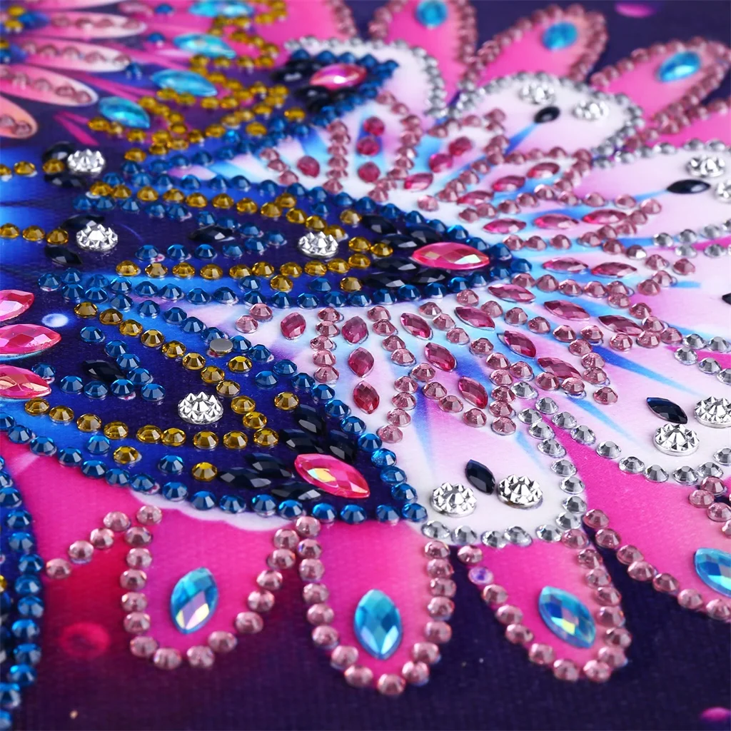 DZ12130X40cm (6)