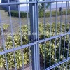 mosquito netting &mosquito mesh/green insect net/ fiberglass mesh for window