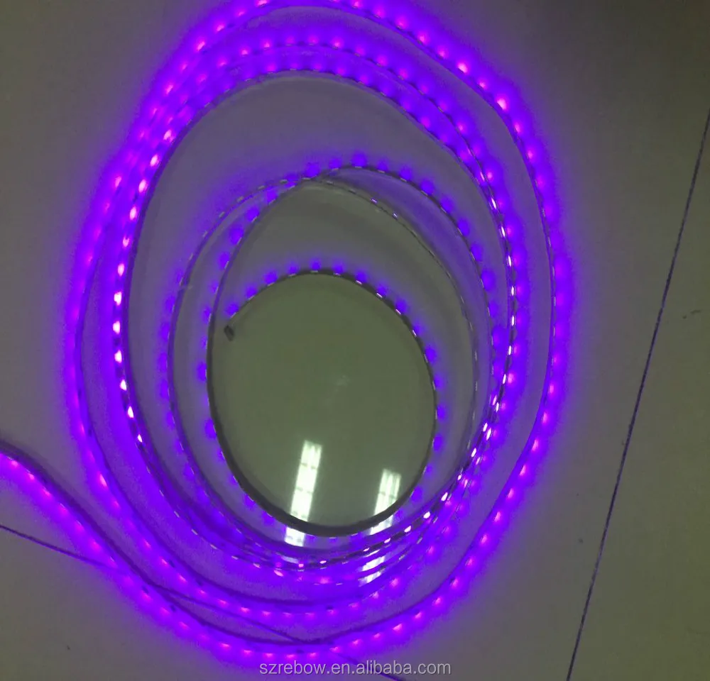 12v 24v 60leds/m purple uv ultraviolet 390-400nm 395nm uv led strip