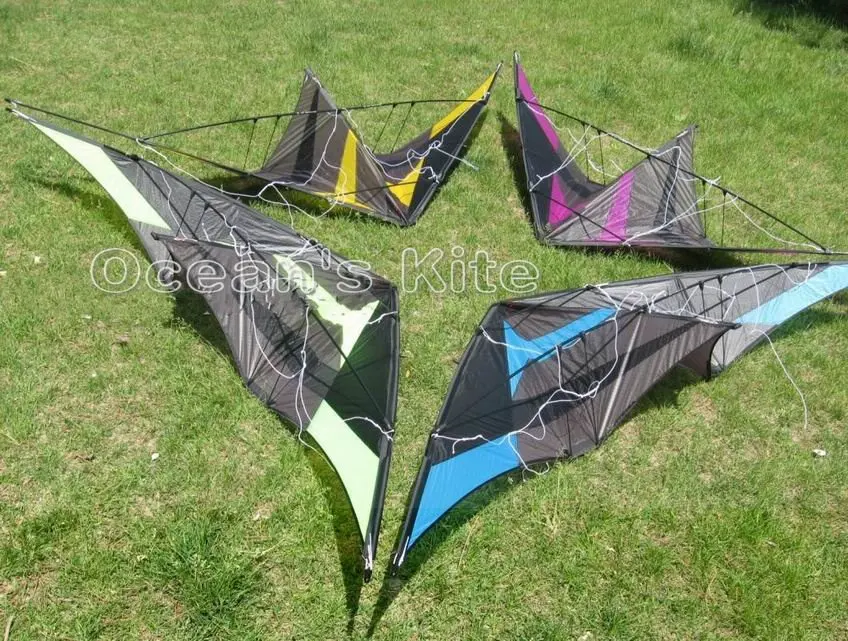 2014 New Style kite,Silver Fox Trick kite,Easy roll over