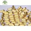 OEM 500mg Improve Prostate Pumpkin Seed Extract Oil Soft Gels Capsules