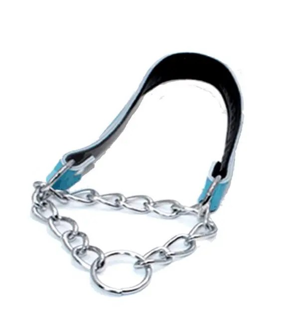 tsc shock collar
