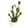 Factory direct sell small artificial plants cactus pots plantas artificial