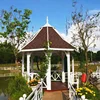 OEM ODM cheap price antiseptic solid wood frame gazebos pavilion outdoor wooden hexagonal garden gazebo
