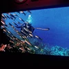 New design replacement high resolution big led tv screen for indoor internal use