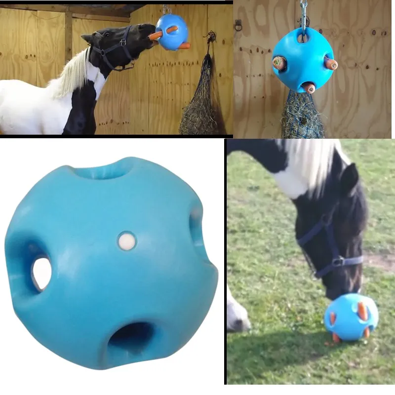 horse playball.jpg