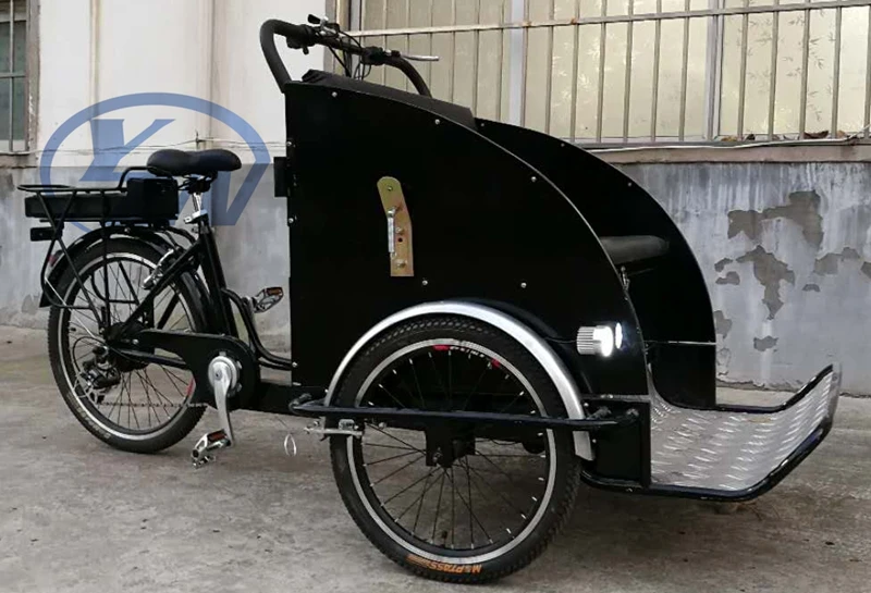 Electric Rickshaw Electric Reverse Ride Tricycle Buy Electric