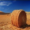 high quality bale netting with red ending line