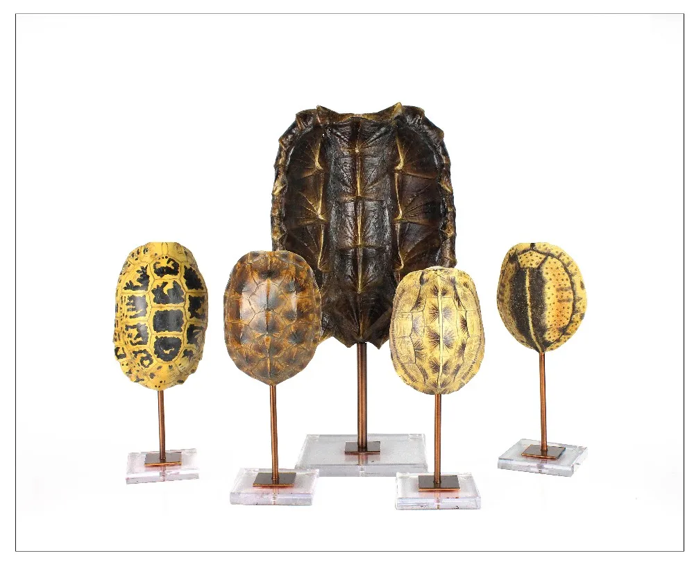 Turtle Shell Base Home Decoration with Metal SCULPTURE Artificial Europe Resin Craft Animal 30% Deposit CF1150242 Lifelike factory