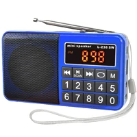 L-238sw fm am sw radio(S).jpg