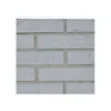 blind brick wall tiles plant