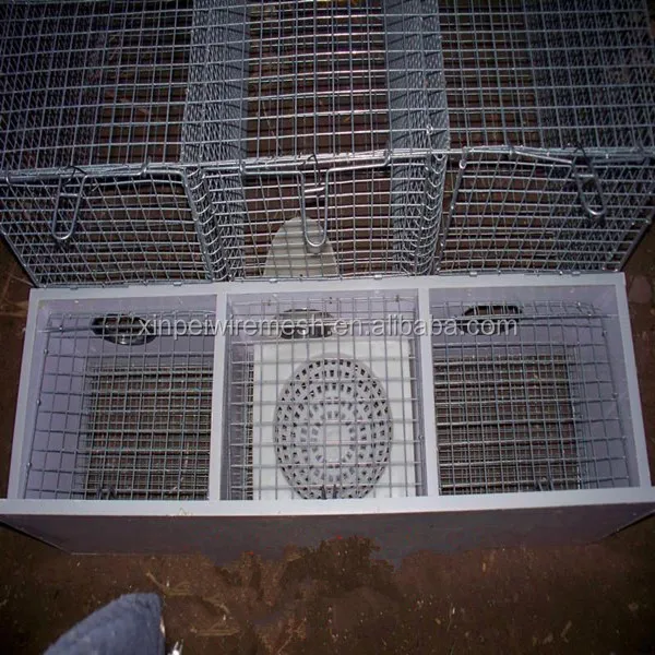 Merry Christmas!!!professional Mink Cage Trap Hot Dipped Galvanized