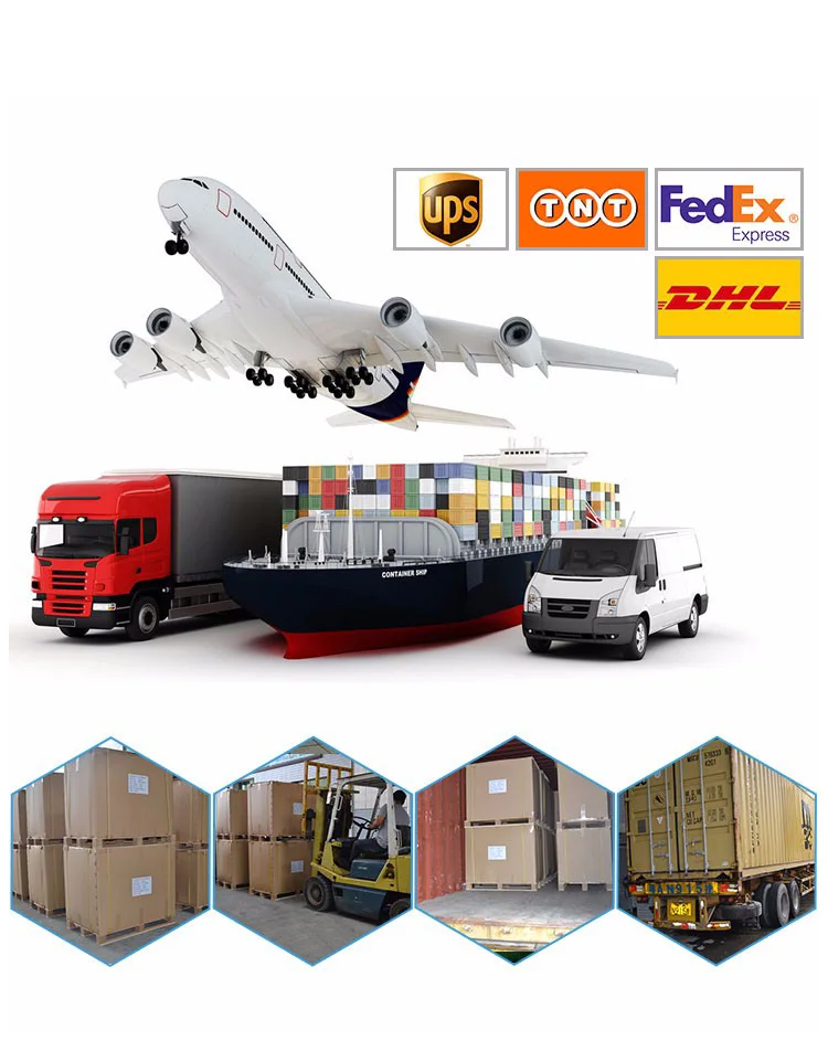 shipping logo01.jpg