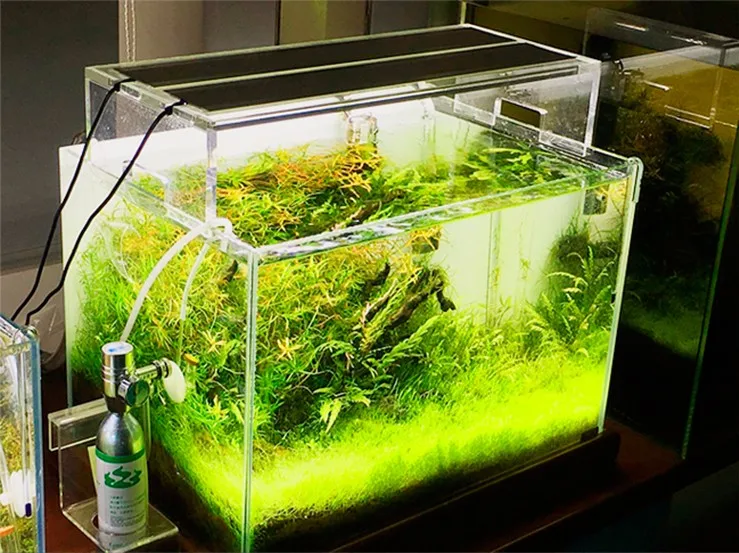 small planted fish tank