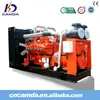 Camda H Series natural gas/biogas 40kw-250kw generator sets with good price in China Factory