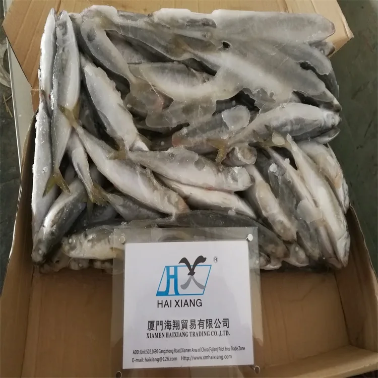 mackerel fish