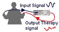 Touch screen bio resonance therapy ssch brt from Russia