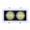 2x15W Double Head LED Recessed light engine
