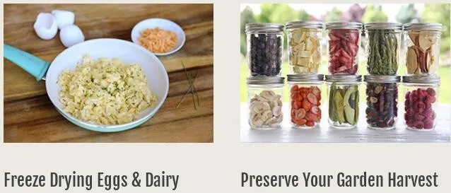 freeze dried sample 1.jpg