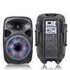 BTSP1203 12''woofer piezo tweter battery speaker portable Bluetooth/USB/SD/TWO wireless MIC pro audio professional