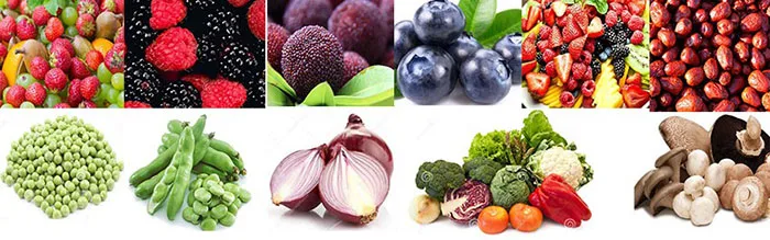 bucket conveyor2.jpg